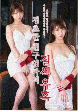 妻子的秘密日记剧集封面