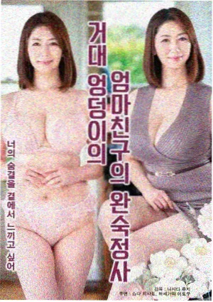 双面枕边人剧集封面
